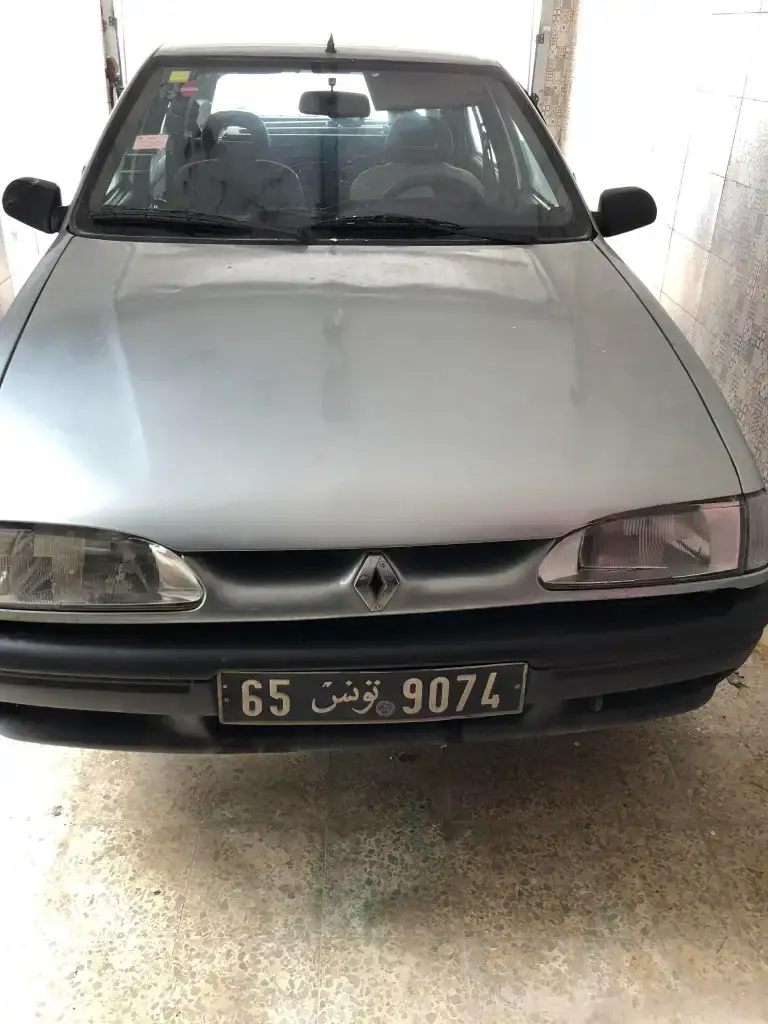 Renault R19 1992 247000 km