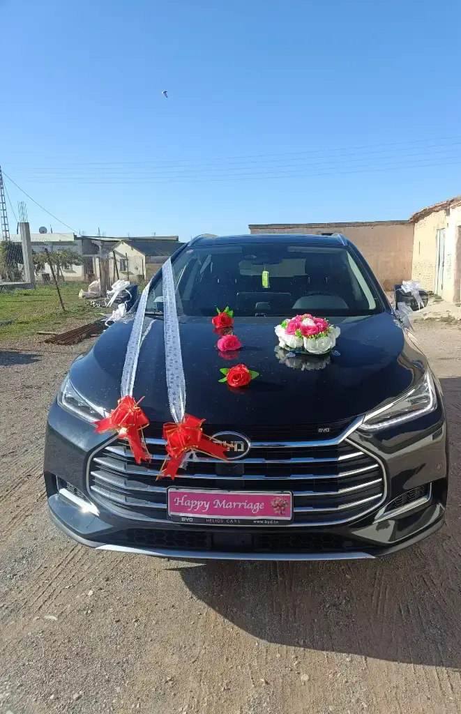 BYD F1 2022