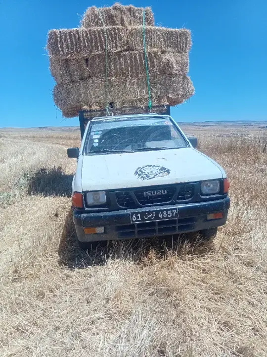 Isuzu SERIE N Diesel