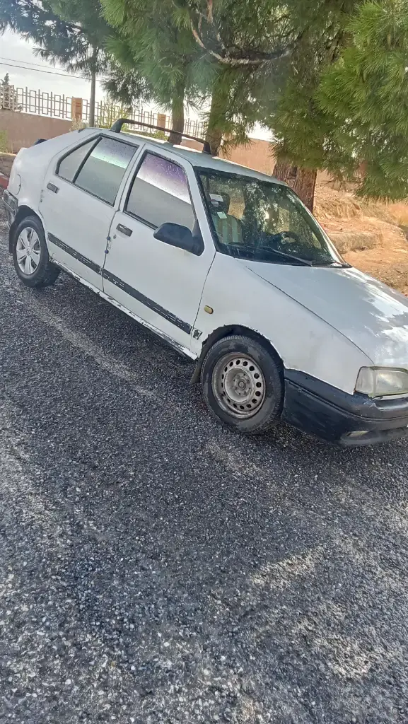 Renault R19 1995 000 km