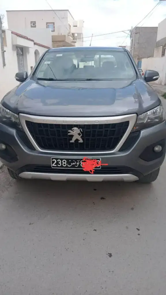 Peugeot Autres 2023 120000 km