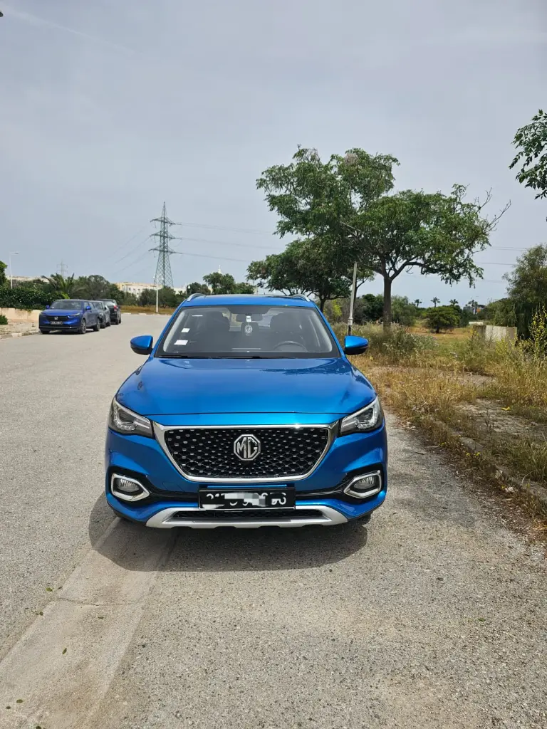 MG Mg hs 2020 162000 km
