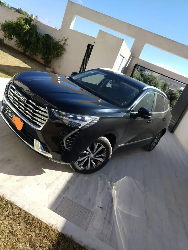 Haval Jolion 2022 80000 km