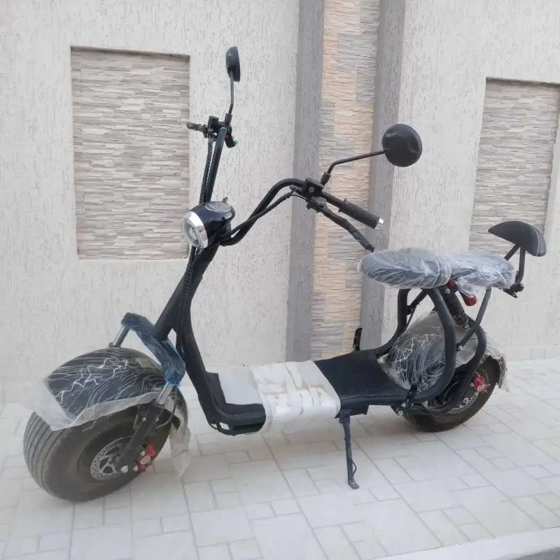 Motor electric Harley