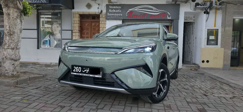 BYD Atto 3 60.48 kWh 204 cv Boîte auto
